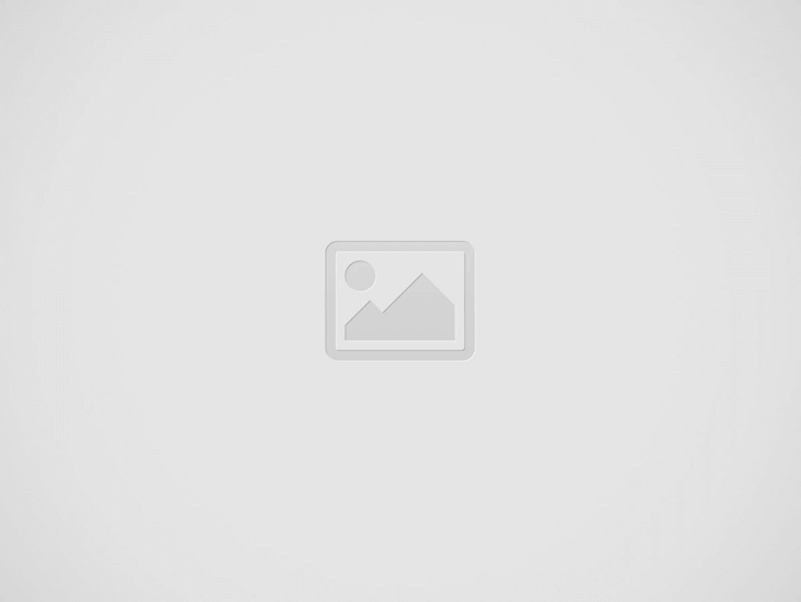 HBAR Price Poised For Bullish Breakout: Major Rally Ahead?
