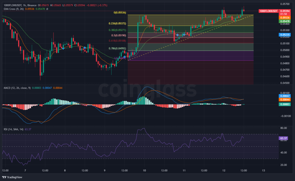 FLOKI/USDT hourly chart 