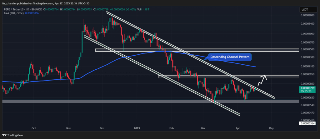 PEPE/USDT Daily Chart