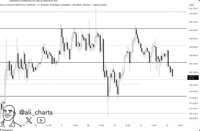 Bitcoin Price Chart