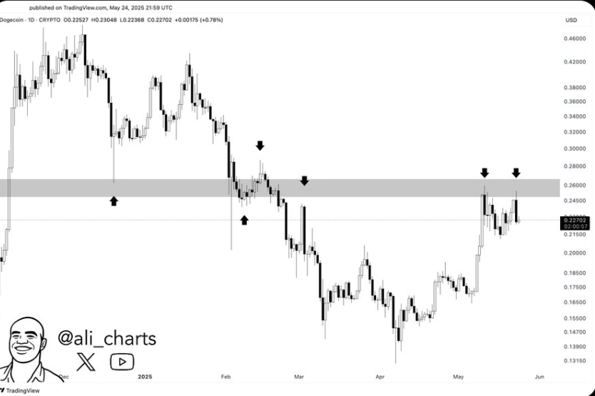 Dogecoin Price Chart