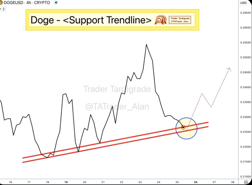Dogecoin Price Chart