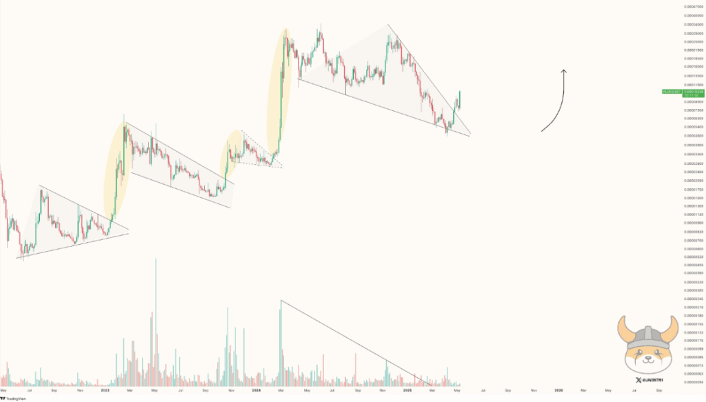 FLOKI Coin Price Chart