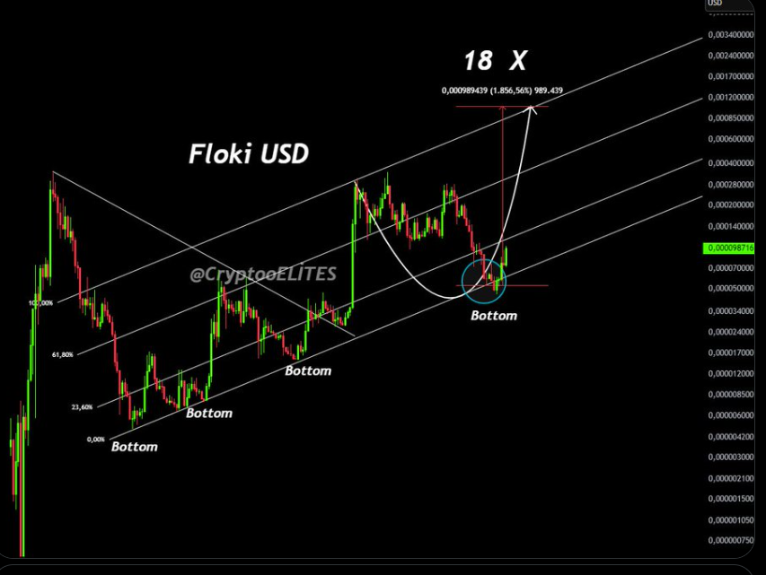 FLOKI Coin Price Chart