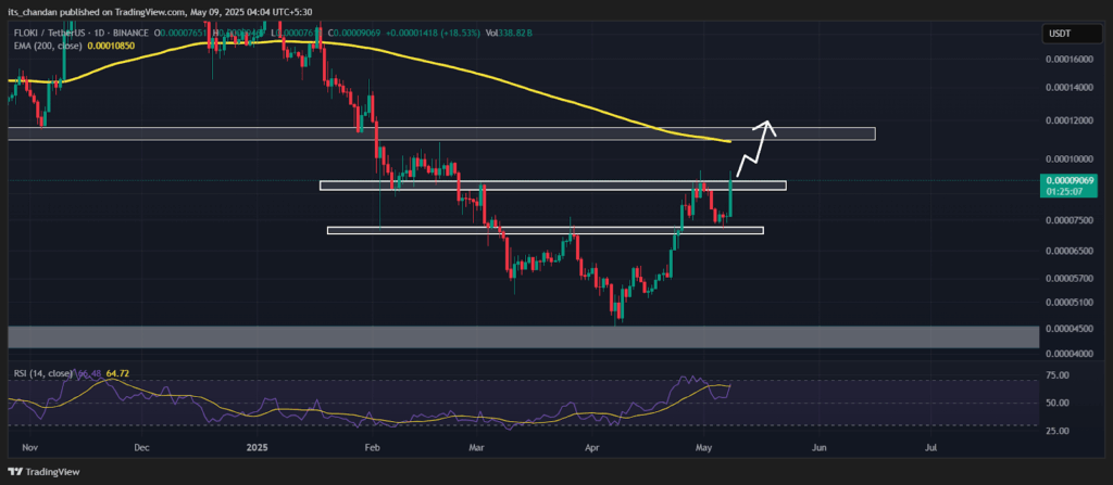 FLOKIUSDT Daily Chart