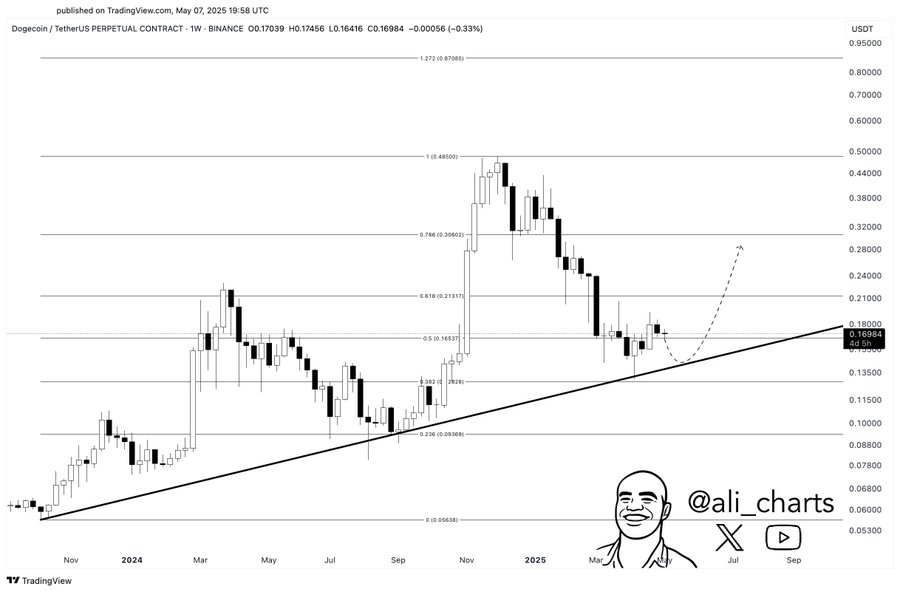 dogecoin usd