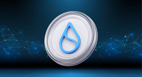 SUI Coin On The Verge Of Breakout, On-chain Metrics Flash Green