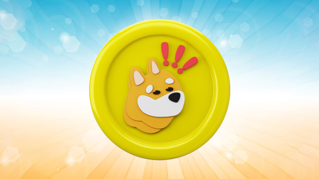 BONK Coin