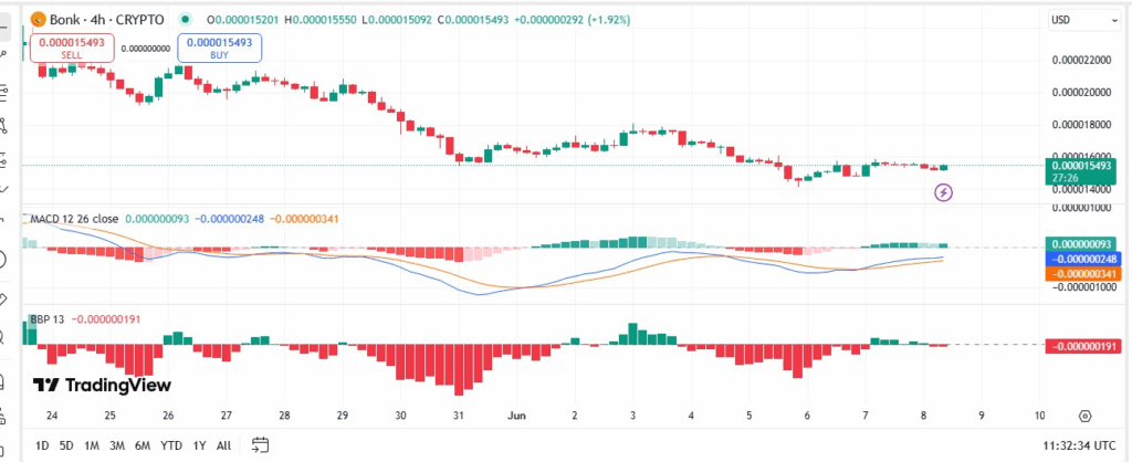 Bonk Price 4-hr Chart