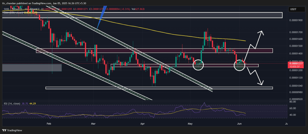 SHIBUSDT Daily Chart