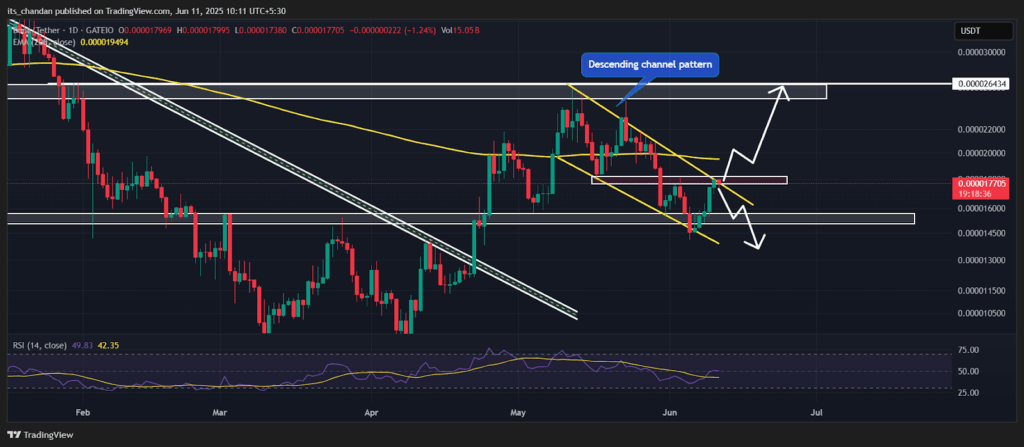 BONKUSDT Daily Chart